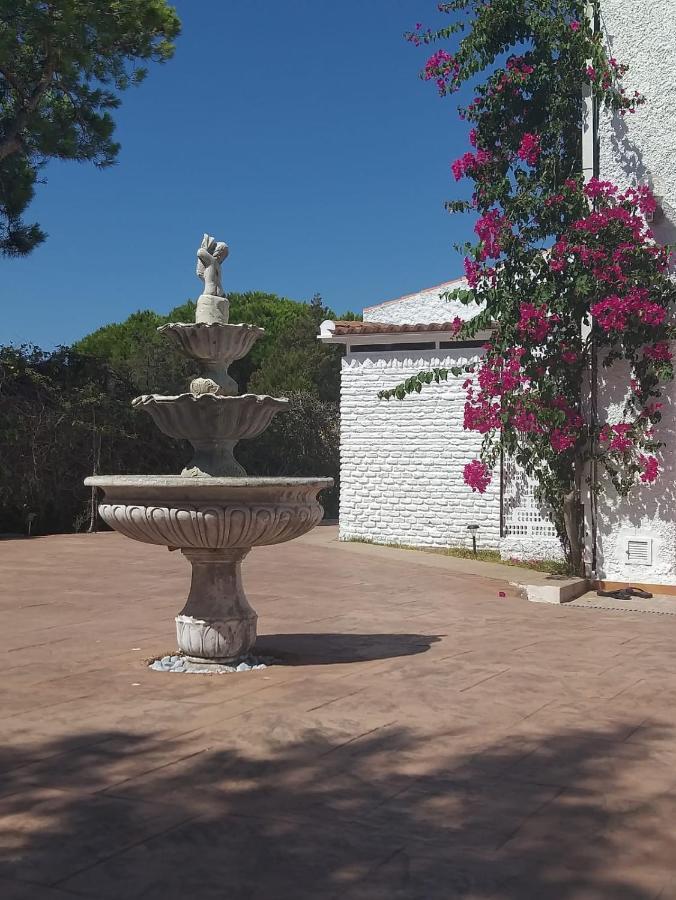 Entre Pinos Y Playa Apartment มาตาลัสกาญาส ภายนอก รูปภาพ